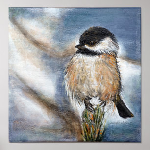 Chickadee Black Capped Art Print