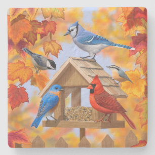 Chickadee Bluebird Cardinal Blue Jay Autumn Leaves Stone Coaster