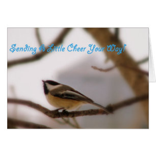 Chickadee Cheer