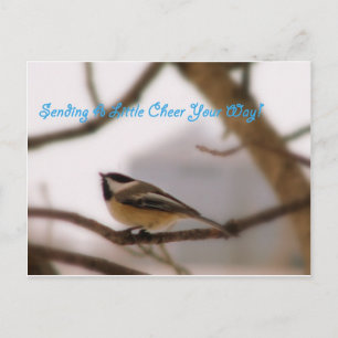 Chickadee Cheer Postcard