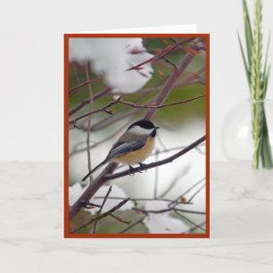 Chickadee Christmas Card