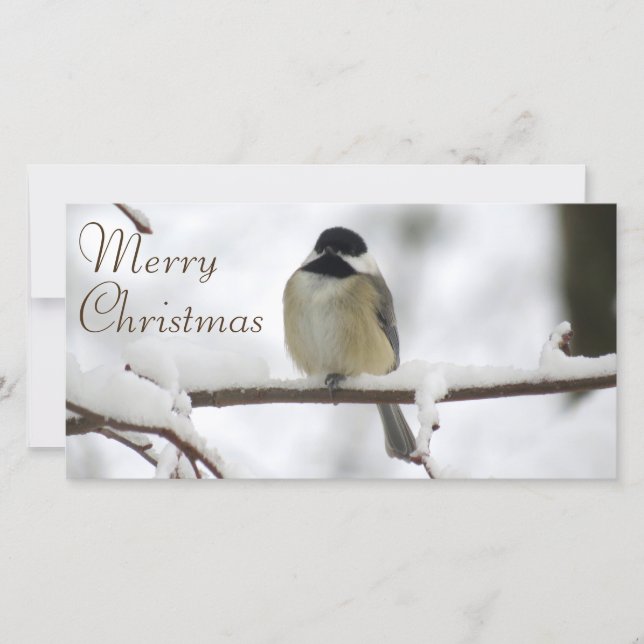 Chickadee Christmas Holiday Card (Front)