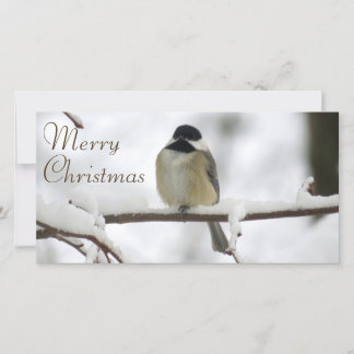 Chickadee Christmas Holiday Card