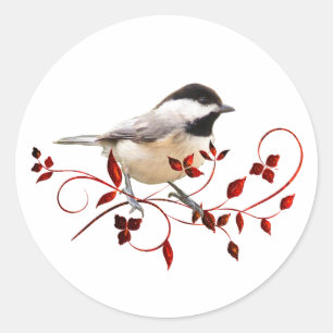 Chickadee Classic Round Sticker