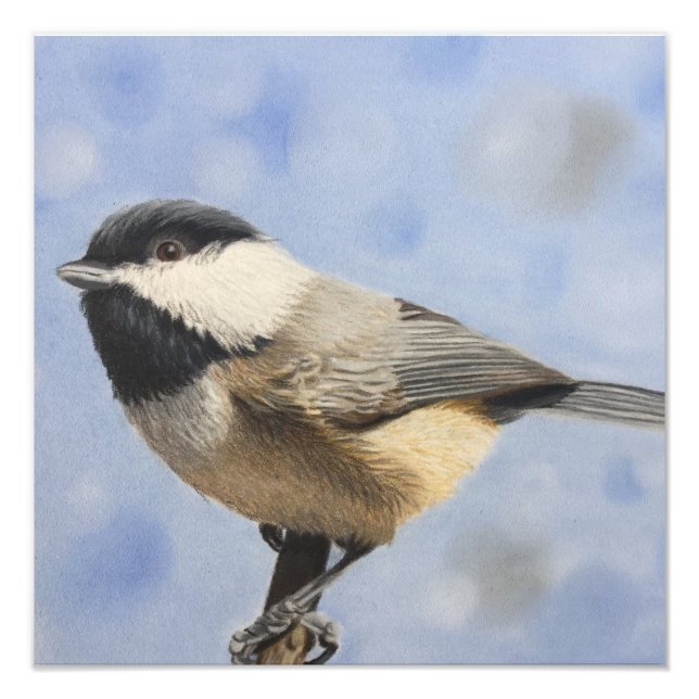 Chickadee dee dee photo print (Front)