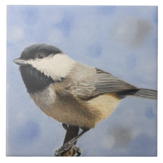 Chickadee dee dee tile