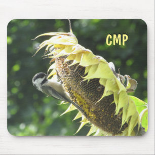 Chickadee Eating Sunflower seeds Mouse Mat