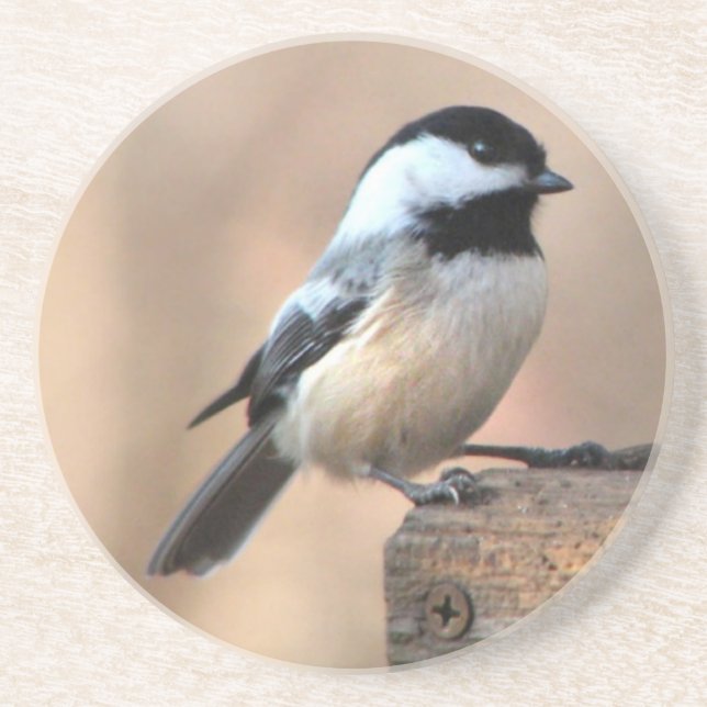 Chickadee in Golden Light Coaster (Front)