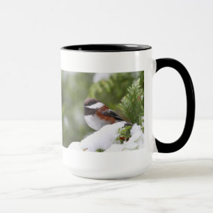 Chickadee in Snow on a Cedar Tree Mug