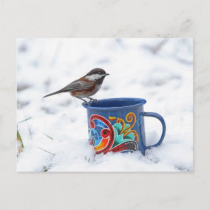 Chickadee in the Snow Postcard