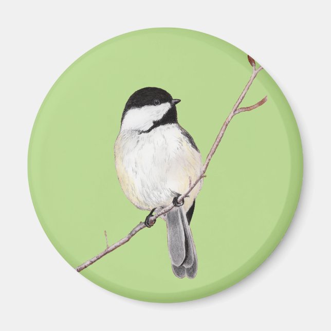 Chickadee Magnet (Front)
