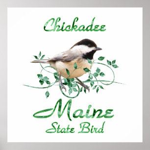 Chickadee Maine State Bird Poster