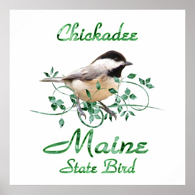 Chickadee Maine State Bird Poster (Front)