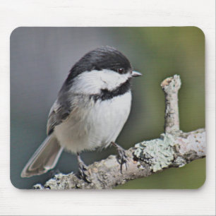 Chickadee Mouse Mat
