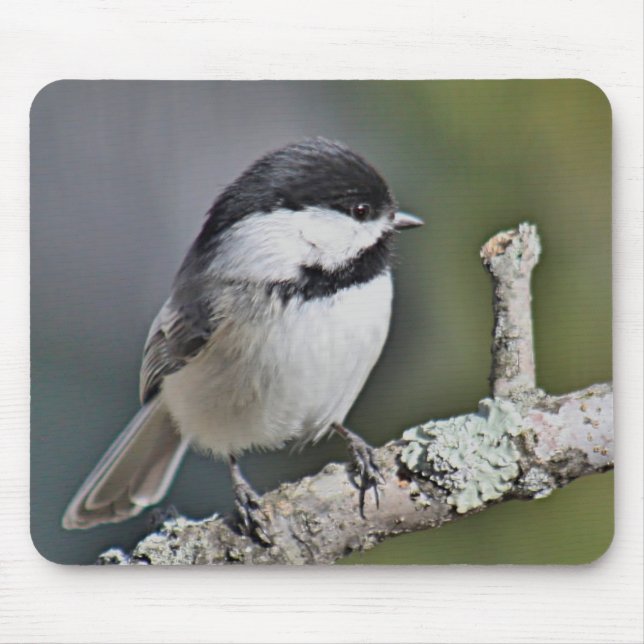 Chickadee Mouse Mat (Front)