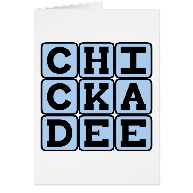 Chickadee, North American Bird (Front)