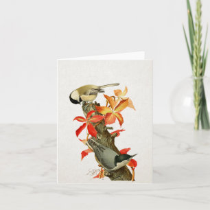 Chickadee Nuthatch Fall Foliage Vintage Bird Card