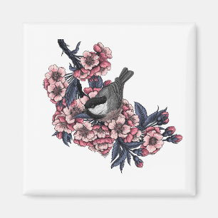 Chickadee on a blooming cherry branch magnet
