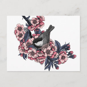 Chickadee on a blooming cherry branch postcard