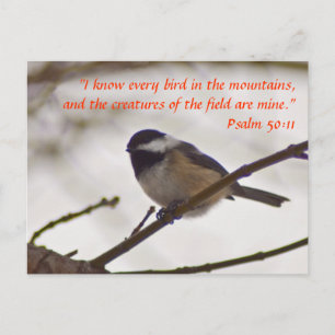 Chickadee on a Twig Postcard