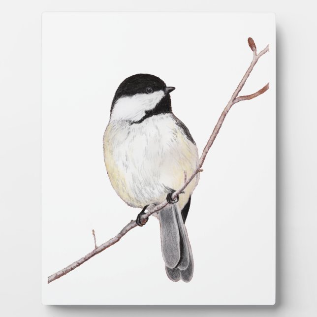 Chickadee Plaque (Front)