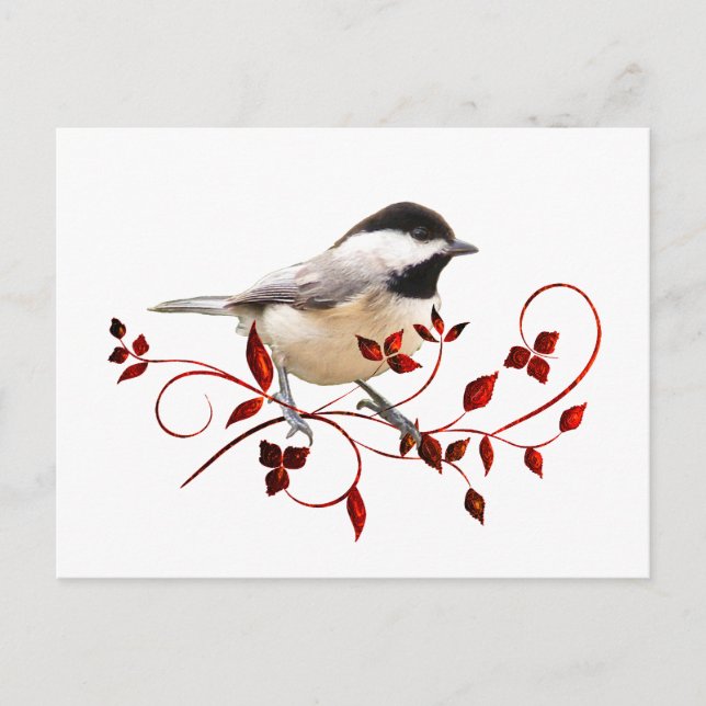 Chickadee Postcard (Front)