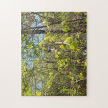 Chickadee Puzzle