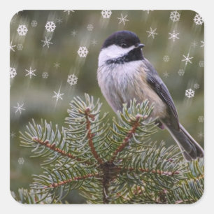 Chickadee Snow Flakes Pine Tree Winter Square Sticker