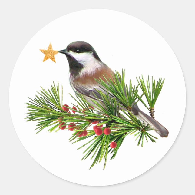 Chickadee Star Stickers (Front)