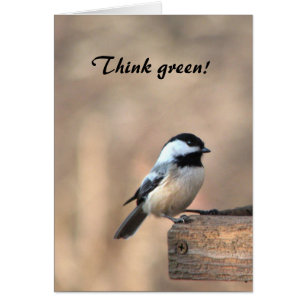 Chickadee Think Green