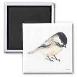 Chickadee Watercolor Magnet<br><div class="desc">A cute and tiny chickadee watercolor painting by Jennifer Steffen,  Jenn Steffen Art.</div>