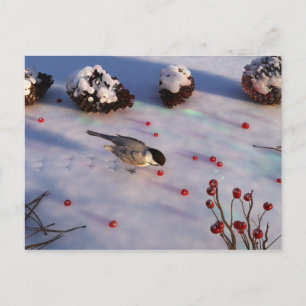 Chickadee Winter Postcard