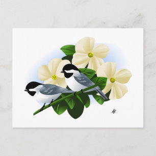 Chickadees and Dogwood Flower Postcard