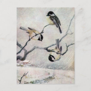Chickadees in the Snow Postcard