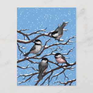 Chickadees in winter postcard
