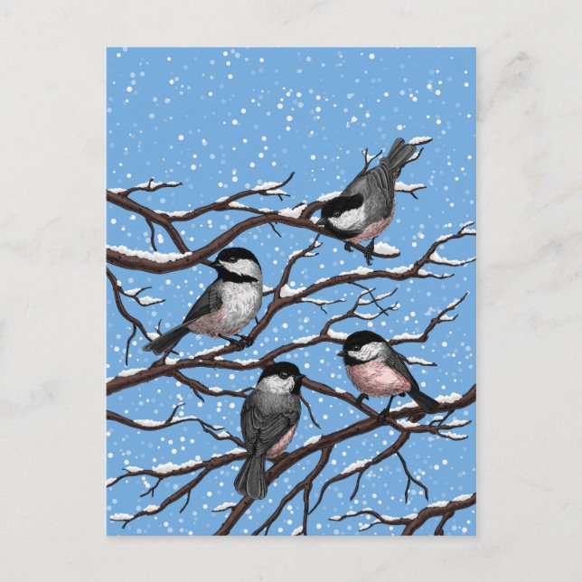 Chickadees in winter postcard (Front)