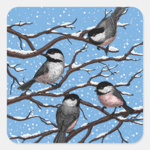 Chickadees in winter square sticker