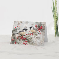 Chickadees on Evergreen with Red Berries