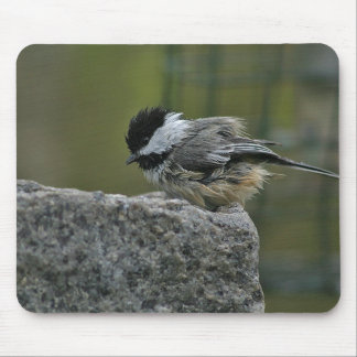 Chickdee taking bath mouse mat
