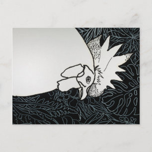 Chicken 1 postcard
