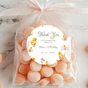 Chicken 1st birthday Farm animal Birthday Thanks Classic Round Sticker