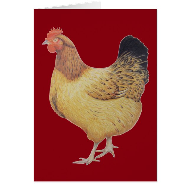 Chicken 2012 (Front)