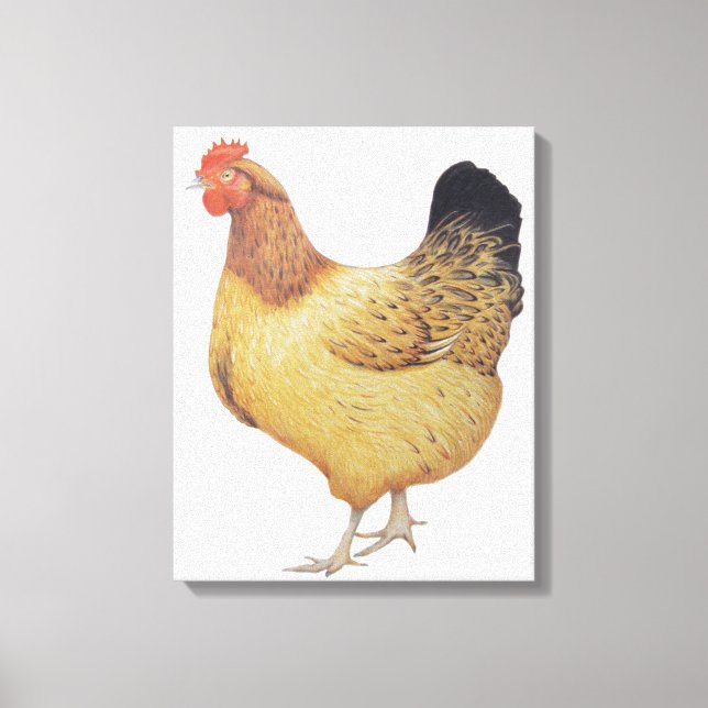 Chicken 2012 canvas print (Front)