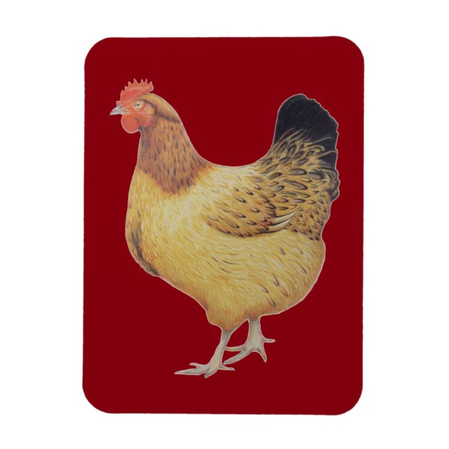 Chicken 2012 magnet (Vertical)