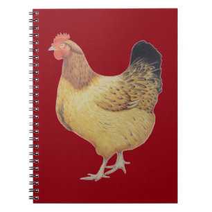 Chicken 2012 notebook