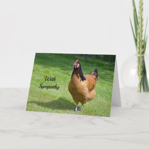 Chicken 3 Sympathy Card