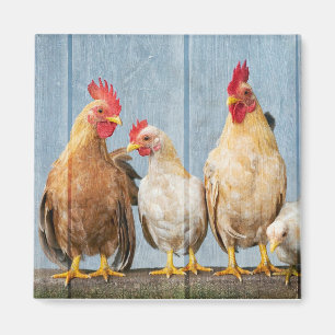 Chicken and Friends Magnet