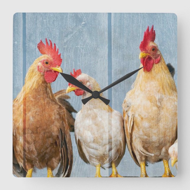 Chicken and Hens Square Wall Clock (Front)