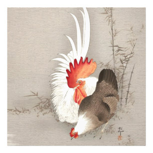 Chicken and Rooster by Ohara Koson Photo Print