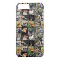 Chicken,And Rooster Photo Collage,